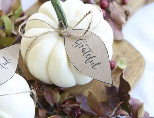 Get Ready for Thanksgiving with These Decorating Tips